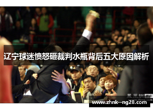 辽宁球迷愤怒砸裁判水瓶背后五大原因解析