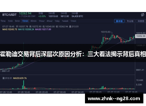 霍勒迪交易背后深层次原因分析：三大看法揭示背后真相