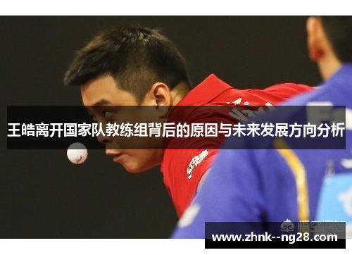 王皓离开国家队教练组背后的原因与未来发展方向分析