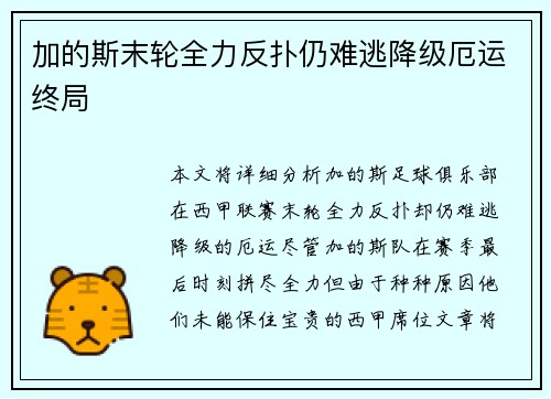 加的斯末轮全力反扑仍难逃降级厄运终局